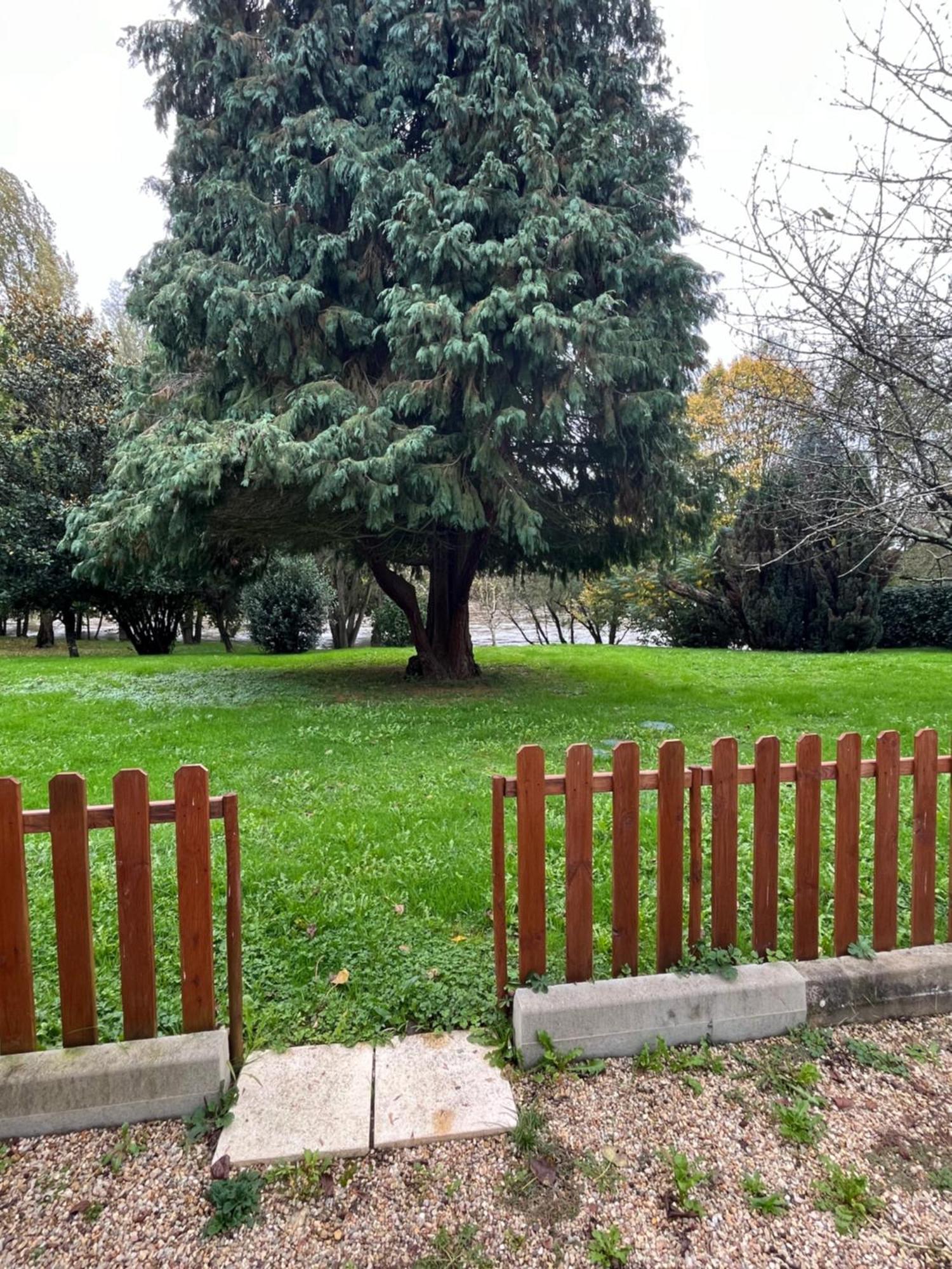 Logement Paisible En Bord De Vienne Bonneuil-Matours Luaran gambar